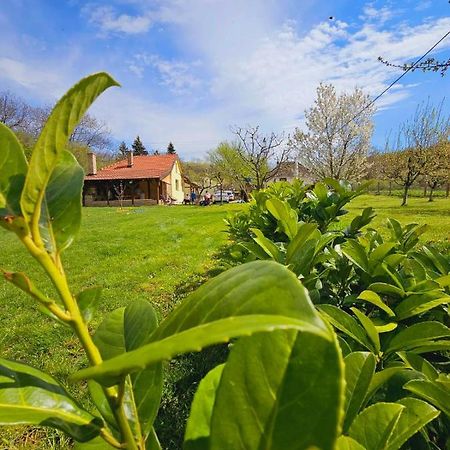 Willa Fruska House Besenovacki Prnjavor Zewnętrze zdjęcie