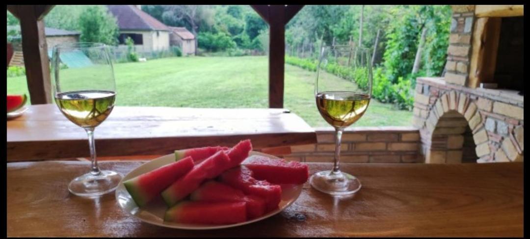 Willa Fruska House Besenovacki Prnjavor Zewnętrze zdjęcie