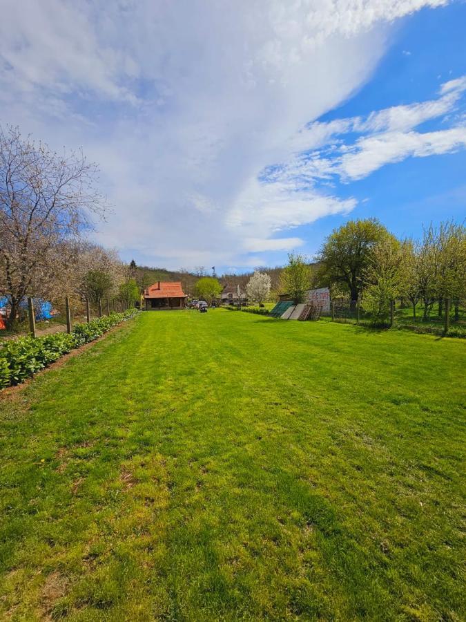 Willa Fruska House Besenovacki Prnjavor Zewnętrze zdjęcie