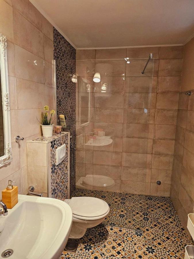 Willa Fruska House Besenovacki Prnjavor Zewnętrze zdjęcie